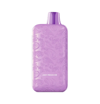 Snoop Dogg Low Rider 25K Puff Juicy Peach Ice